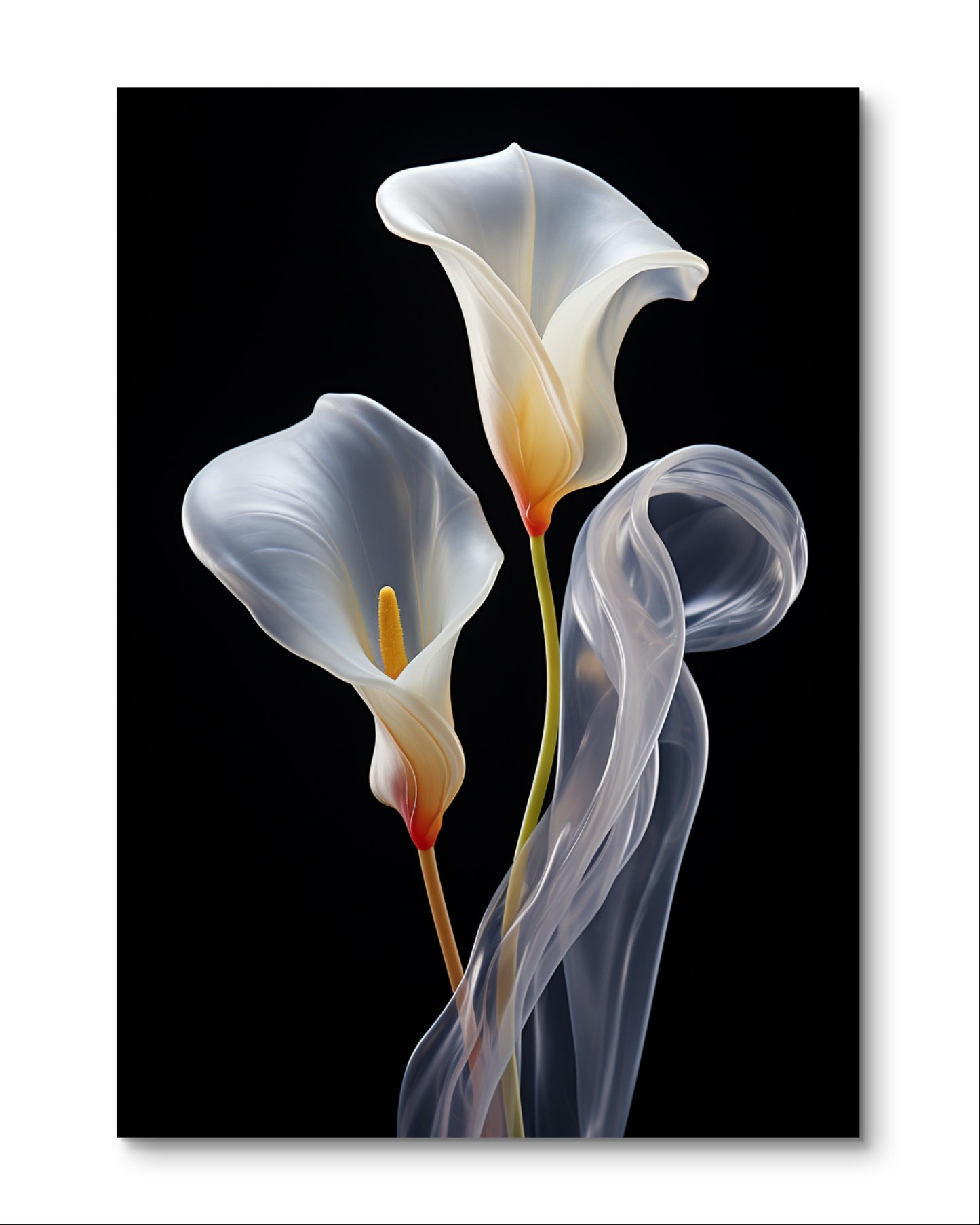 Callas Blume - artloving