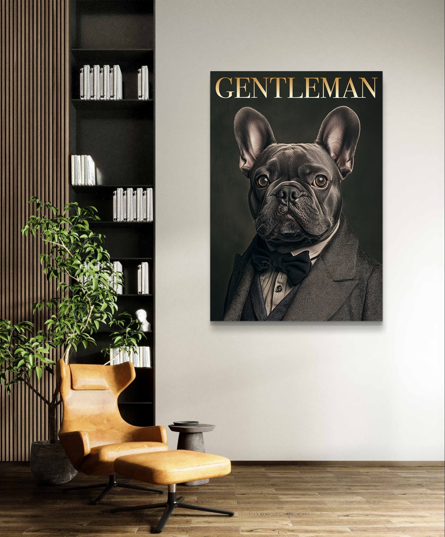 Gentleman Französische Bulldogge