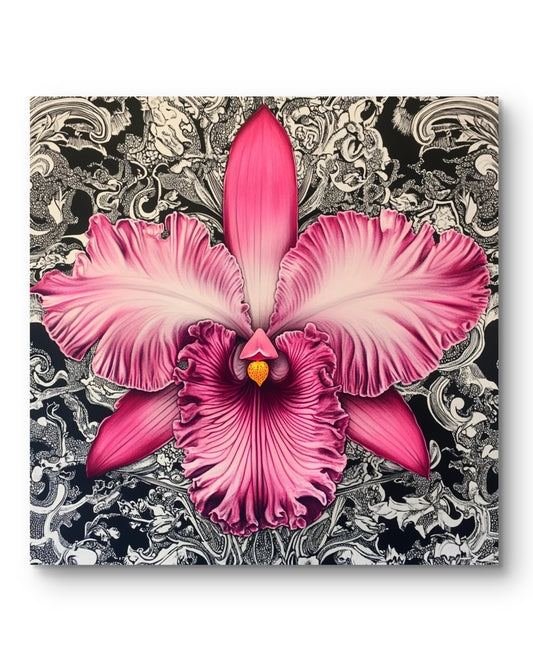 Pink Orchidee auf Ornament