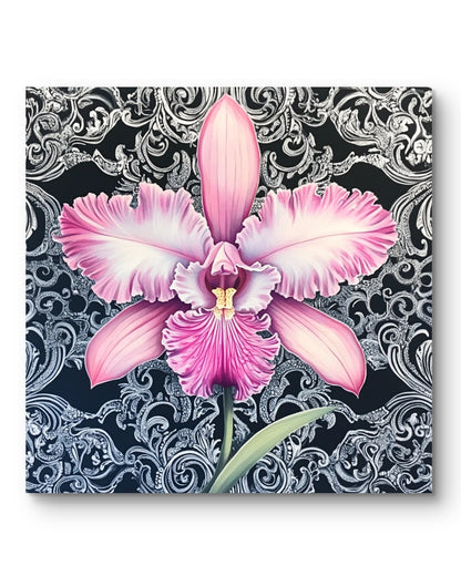 Pink Orchidee auf Ornament 01